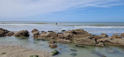 Berck sur Mer et Cte d'Opale