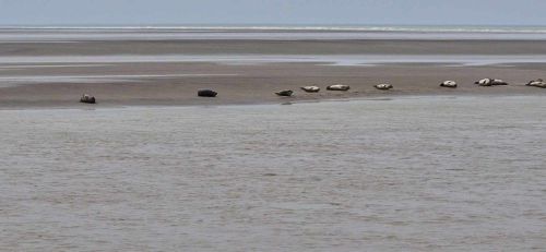 Berck sur Mer et Cte d'Opale