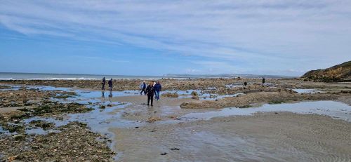 Berck sur Mer et Cte d'Opale