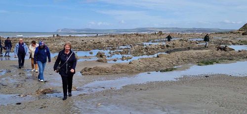 Berck sur Mer et Cte d'Opale