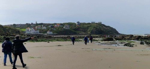 Berck sur Mer et Cte d'Opale